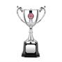 Nickel Plated Trophy thumbnail